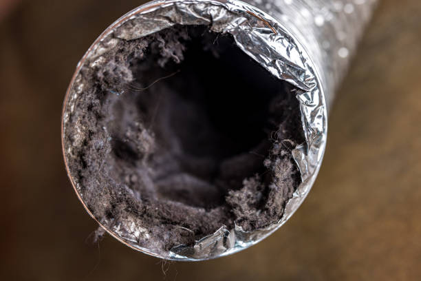 Best Air Vent Cleaning Services  in Somers, WI