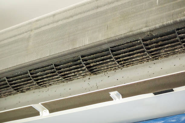 Best HVAC Duct Inspection Services  in Somers, WI